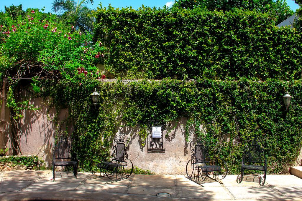 Hotel Zamna Boutique 3*